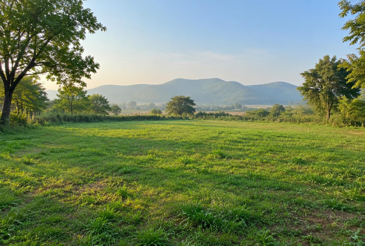 Residential Plots